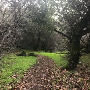 Meet your Posher, Ruth